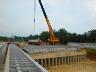 Eco Garden Bridge 2