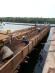 sebana cove jetty_3