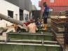 legasi bonding_rental