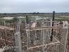 PPA1M Reservior-016